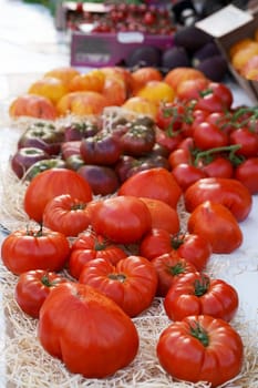 tomatoes are sold at the market