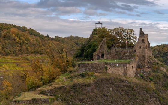 Panoramic image of vinyard during autumn, Ahr, Rhineland-Palatinate, Germany