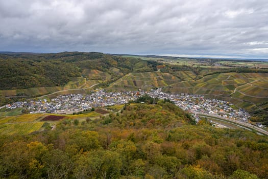 Panoramic image of vinyard during autumn, Dernau, Ahr, Rhineland-Palatinate, Germany