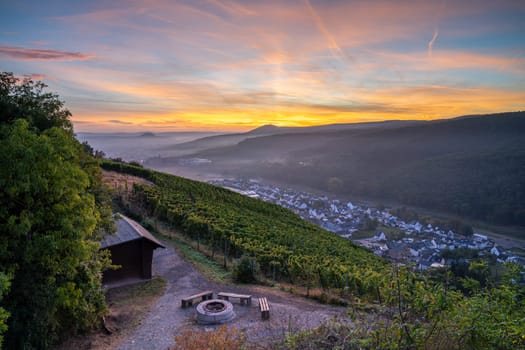 Panoramic image of vinyard during autumn, Ahr, Rhineland-Palatinate, Germany