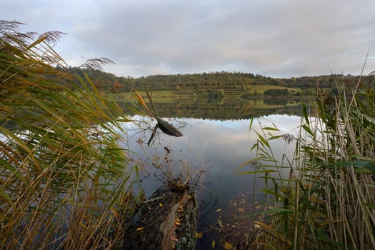 Panoramic image of landscape within the Vulkan Eifel, Rhineland-Palatinate, Germany