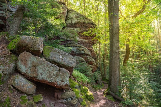 Panoramic image of landscape within the Eifel National Park, North Rhine Westphalia, Germany