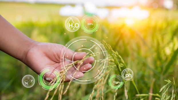 Smart farming with IoT, futuristic agriculture 4.0 concept, farming 4.0, Smart agricultural technology and innovative agricultural concepts, Farmer uses his hands to touch the leaves of the plants.