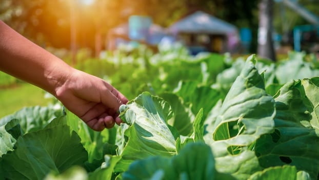 Smart farming with IoT, futuristic agriculture 4.0 concept, farming 4.0, Smart agricultural technology and innovative agricultural concepts, Farmer uses his hands to touch the leaves of the plants.