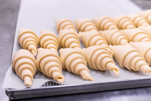 Close-up of rows of small croissants, traditional French cuisine dish on a baking sheet and paper sheet, preparing to be cooked in the oven. buttery puff pastry.