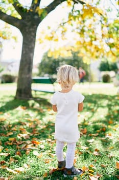 Little girl walks along a green lawn among fallen yellow leaves. Back view. High quality photo
