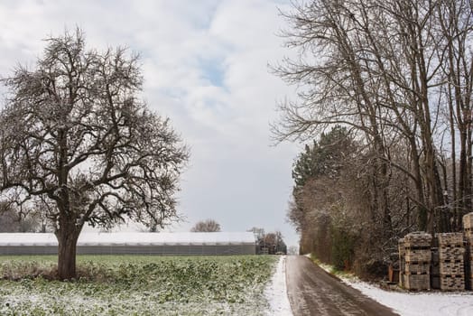 Christmas Tranquility: Winter Wonderland: Snow-Covered European Village Countryside.