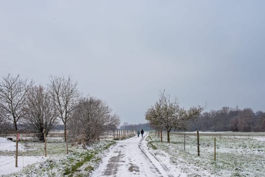 Winter Symphony: Snow-Covered Fields, Rural Roads, and Christmas Delight