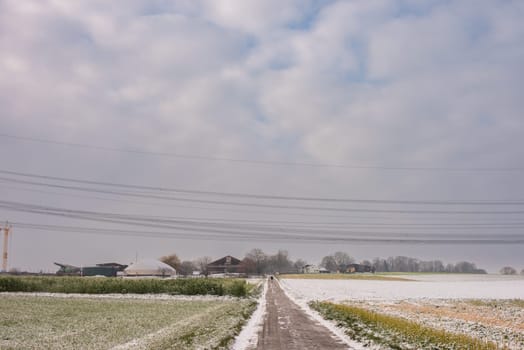 Winter Symphony: Snow-Covered Fields, Rural Roads, and Christmas Delight