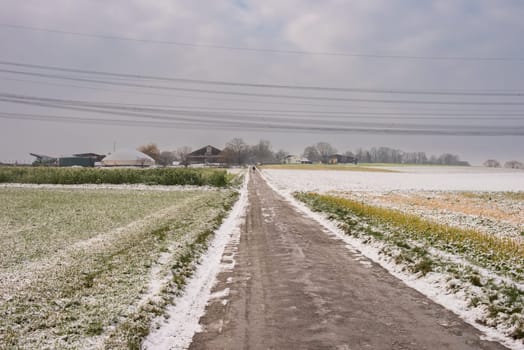 Winter Symphony: Snow-Covered Fields, Rural Roads, and Christmas Delight