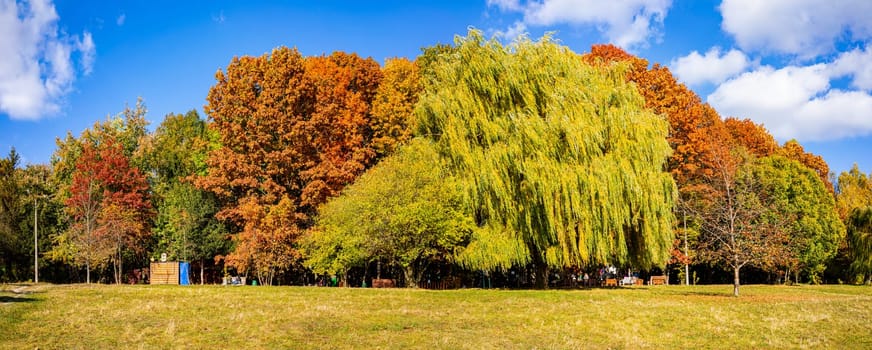 Sunny day in the autumn park.