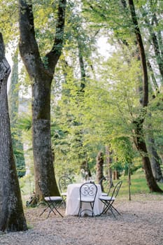 Set table with a bouquet of flowers and glasses in a green park. High quality photo