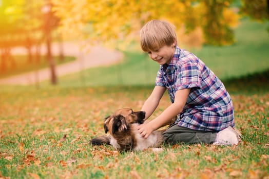 Boy hugging a dog and playing with in the fall, city park