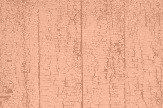 Peach Fuzz color wood texture monochrome background. Wood texture with natural pattern. Color of the year 2024. High quality photo