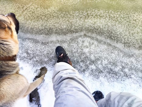 Feet of Hunter or fisherman in big warm boots And paws of dog on snow. Top view. Fisherman on ice of river, lake, reservoir on winter day with melting ice. Dangerous fishing in spring or autumn day