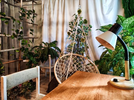 The interior of the room has a wicker swing chair, a desk, a desk lamp and green flowers, trees and window with curtains. A study with greenery. Winter Garden