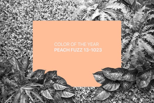 Peach Fuzz color background from leaves and blank for your design or text. Color of the year 2021.