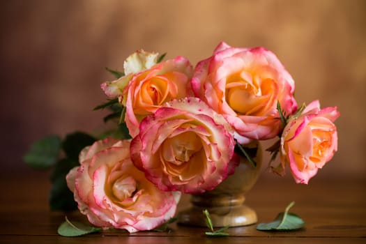 Beautiful blooming yellow and pink rose flowers on abstract brown background