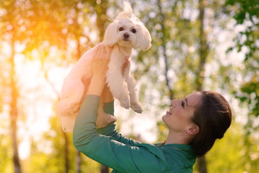 Young woman with her dog. Puppy white dog with it's owner. Concept about friendship, animal and freedom.