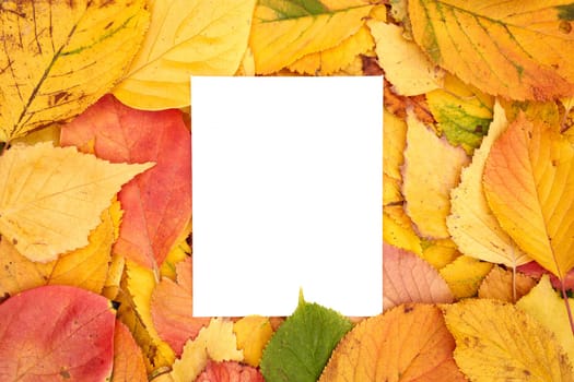 Vertical blank sheet partially covered from below lies against the background of yellow leaves. High quality photo