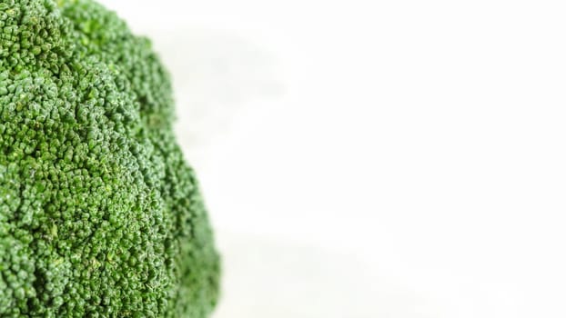 Broccoli close-up on white background, space for text right side