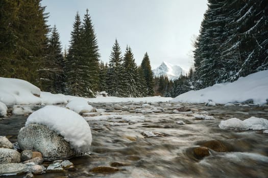 Water flows in winter forest river, stones covered with snow, trees on both sides, mount Krivan (Slovak symbol) peak in distance