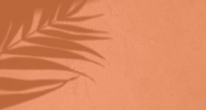 Shadow leaf dypsis on Peach Fuzz color wall. Peach Fuzz Pantone color of the year 2024. Monochrome background. High quality photo