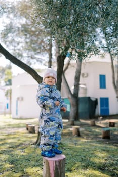 Little girl in overalls stands on a stump in the garden. High quality photo