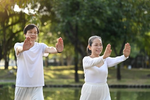 Happy senior couple practicing Tai Chi Chuan in the summer park. Senior health care and wellbeing concept.