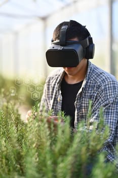 Farmer in VR headset controlling process of growing rosemary in greenhouse cultivation. Smart farming concept.