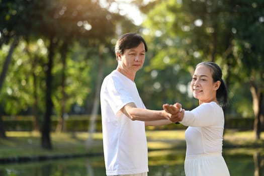 Healthy senior couple practicing Tai Chi Chuan in the morning at the park. Active retirement lifestyle concept.