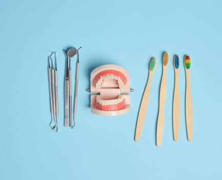 Plastic model of human jaw with white even teeth and a medical examination mirror, tweezers on a blue background, oral hygiene