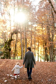 Mom and a little girl walk through the fallen leaves in a sunny forest, holding hands. Back view. High quality photo