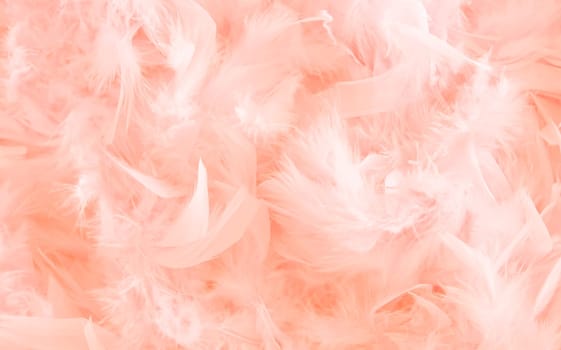 fluffy and soft pastel peach feathers in abstract composition, peach color, 2024 banner mockup with space for text,High quality photo