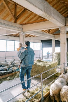 Father with a little daughter in his arms goes to the paddock with sheep on the farm. Back view. High quality photo