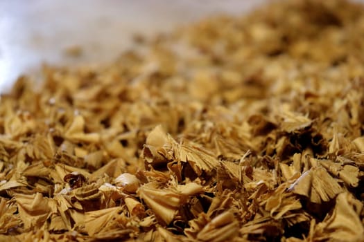 Wood shavings. Background for the image. High quality photo