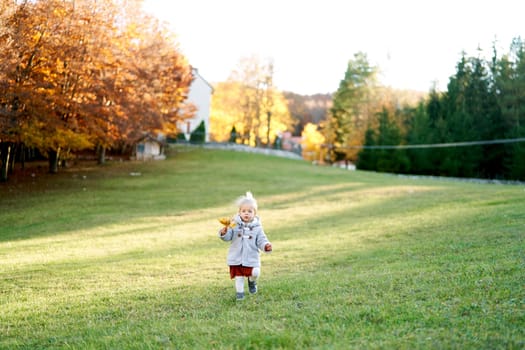 Little girl with a bouquet of yellow leaves walks through a green meadow. High quality photo