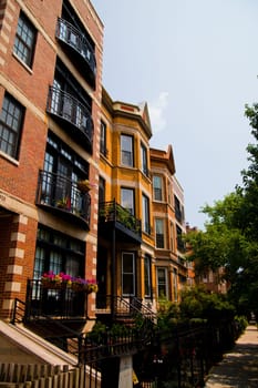 Charming Urban Living in Chicago: Classic brickwork and bay windows adorn upscale residential buildings in this picturesque city scene, complete with wrought-iron balconies, potted plants, and a vibrant green streetscape.