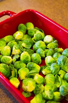 Fresh and vibrant Brussels sprouts in a red baking dish, ready for a healthy and delicious meal. Capture the essence of home cooking with this vibrant stock photo from Fort Wayne, Indiana.