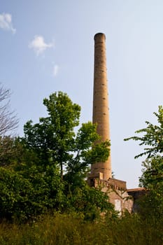 Industrial decay meets nature's resilience as an imposing brick chimney emerges from lush greenery in Pierceton, Indiana.