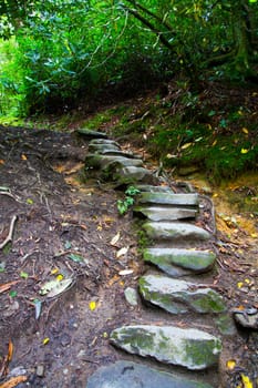 Explore the enchanting allure of a hidden forest staircase in Gatlinburg, Tennessee. Immerse yourself in nature's tranquility amidst lush foliage and weathered stone steps, offering a rustic pathway to adventure and serenity.