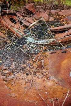 A close-up view of rusted metal, adorned with organic matter and abandoned. This image captures the beauty of decay and the cycle of life and decay, perfect for illustrating themes of urban decay, environment, and transformation.