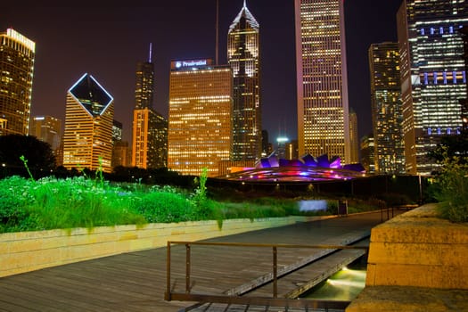 City Lights and Green Oasis: Vibrant urban night scene in downtown Chicago, Illinois, showcasing illuminated skyscrapers, a tranquil park, and the integration of nature within the bustling cityscape.