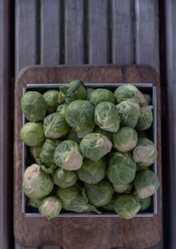 Fresh raw organic Green brussel sprouts vegetable on Wooden cutting board with Natural sunlight. Uncooked brussels sprouts, View from above, Copy space, Selective focus.