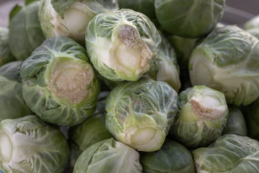 Close-up of Fresh raw organic Green brussel sprouts vegetable on Wooden cutting board with Natural sunlight. Uncooked brussels sprouts, Space for text, Selective focus.
