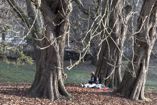 London, UK - Nov 25, 2023 - Young woman sits on a green lawn and resting under tree in autumn park. She is listening to music in the sunny warm day, Space for text, Selective focus.