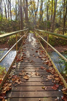 Tranquil autumn boardwalk in Bicentennial Acres, Fort Wayne, Indiana. Serene path through the forest, adorned with fallen leaves, invites peaceful exploration amidst changing seasonal colors. Nature walk for connection with the outdoors.