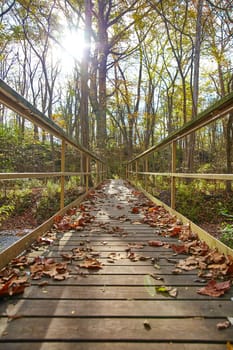 Take a peaceful autumn walk through Bicentennial Acres in Fort Wayne, Indiana. The picturesque wooden bridge invites you to explore nature's vibrant seasonal change.
