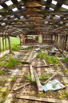Nature's Reclamation: A dilapidated wooden barn in Bicentennial Acres, Fort Wayne, Indiana, stands forgotten and decayed, as nature's lush green field reclaims its surroundings. A poignant reminder of the impermanence of man-made constructs.