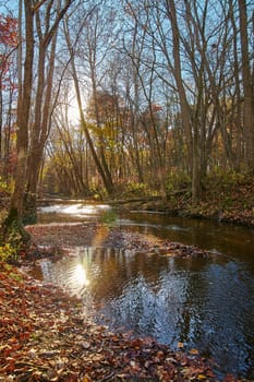 Tranquil autumn forest with meandering river, showcasing vibrant fall foliage and golden sunlight. Serene nature scene in Fort Wayne, Indiana.